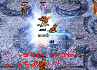 ڴϷпٳɳӦЩļɣ