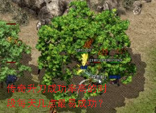 ɹʸߵʱÿ켸׳ɹ