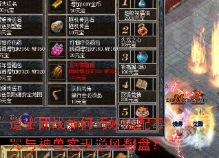 ʿս䶾ʵ緭̣