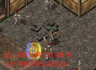 ʿս䶾ʵ緭̣