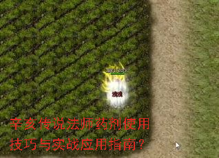 ˵ʦҩʹüʵսӦָϣ