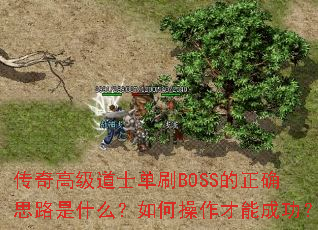 ߼ʿˢBOSSȷ˼·ʲôβܳɹ