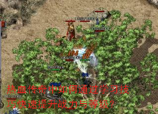热血传奇中如何通过学习技巧快速提升战力与等级? 热血传奇中如何通过学习技巧快速提升战力与等级?