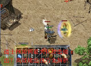 道士PK如何最大化攻击输出?高效输出技巧全解析 道士PK如何最大化攻击输出?高效输出技巧全解析