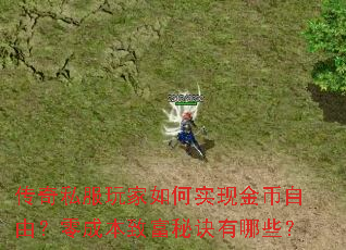 传奇私服玩家如何实现金币自由?零成本致富秘诀有哪些? 传奇私服玩家如何实现金币自由?零成本致富秘诀有哪些?