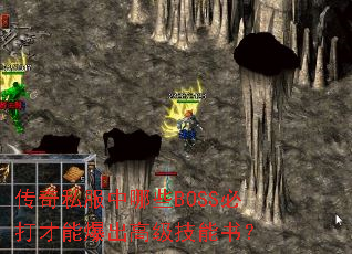 传奇私服中哪些BOSS必打才能爆出高级技能书? 传奇私服中哪些BOSS必打才能爆出高级技能书?