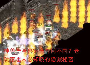 神兽与圣兽究竟有何不同?老玩家也未必知晓的隐藏秘密 神兽与圣兽究竟有何不同?老玩家也未必知晓的隐藏秘密