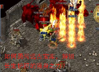 如何勇闯远古宝库,解锁长生护符的强身之力? 如何勇闯远古宝库,解锁长生护符的强身之力?