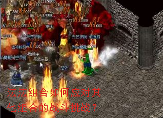 法法组合如何应对其他组合的战斗挑战? 法法组合如何应对其他组合的战斗挑战?