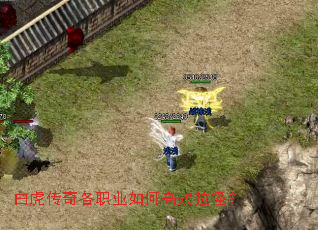 白虎传奇各职业如何高效拉怪? 白虎传奇各职业如何高效拉怪?