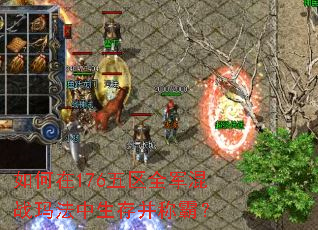 如何在176五区全军混战玛法中生存并称霸? 如何在176五区全军混战玛法中生存并称霸?