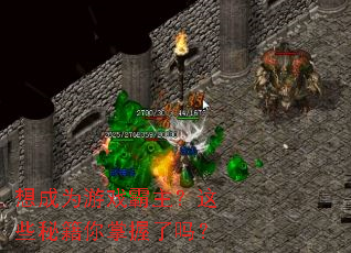 想成为游戏霸主?这些秘籍你掌握了吗? 想成为游戏霸主?这些秘籍你掌握了吗?