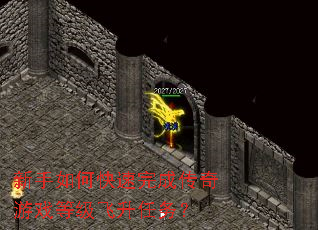 新手如何快速完成传奇游戏等级飞升任务? 新手如何快速完成传奇游戏等级飞升任务?