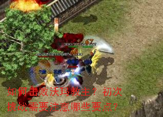 如何击败沃玛教主?初次挑战需要注意哪些要点? 如何击败沃玛教主?初次挑战需要注意哪些要点?