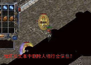 如何从文本中删除人物行会信息? 如何从文本中删除人物行会信息?