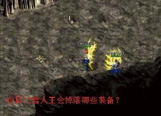 ������ѩ�����������Щװ����