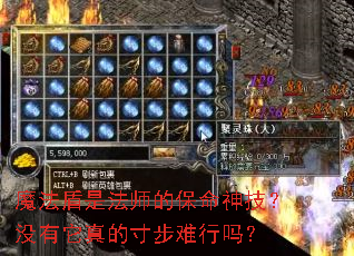 魔法盾是法师的保命神技?没有它真的寸步难行吗? 魔法盾是法师的保命神技?没有它真的寸步难行吗?