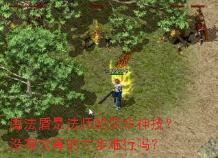 魔法盾是法师的保命神技?没有它真的寸步难行吗? 魔法盾是法师的保命神技?没有它真的寸步难行吗?