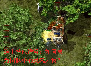 ��ʿ������⣺��γ�Ϊ�Ŷ��е�������