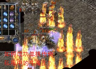 ��γɹ���������˽���е�ţħ����