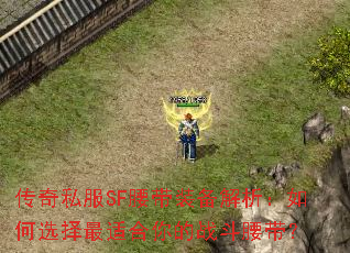 ����˽��SF����װ�����������ѡ�����ʺ����ս��������