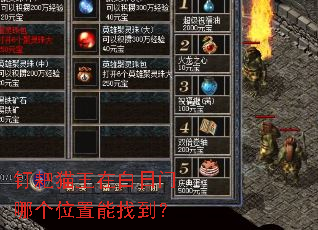 ����è���ڰ������ĸ�λ�����ҵ���