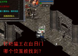 ����è���ڰ������ĸ�λ�����ҵ���