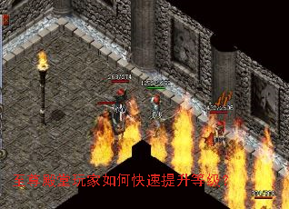 ������������ο��������ȼ���