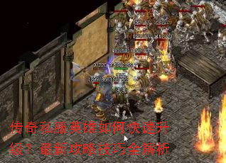 ����˽��Ӣ����ο������������¹��Լ���ȫ����