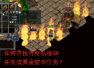 ���Ѱ�Ҵ���˽��GM����ɻƽ�ʹ������