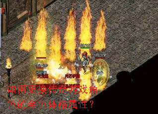 如何更换传奇游戏角色的金色体格属性? 如何更换传奇游戏角色的金色体格属性?