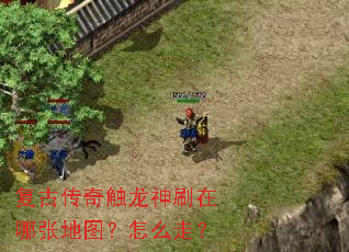 ���Ŵ��津����ˢ�����ŵ�ͼ����ô�ߣ�