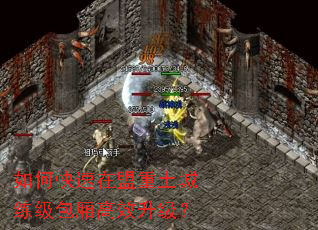 ��ο����������������������Ч������