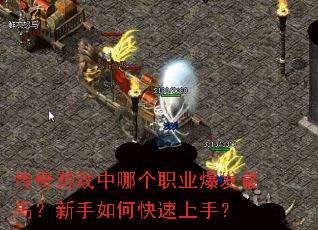 ������Ϸ���ĸ�ְҵ������ߣ�������ο������֣�