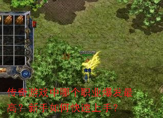 ������Ϸ���ĸ�ְҵ������ߣ�������ο������֣�