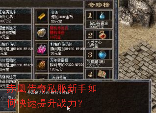 ��˴���˽��������ο�������ս����