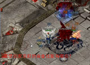 ������һ�ӭ�ĺϻ���������Щ��