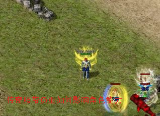 ���������������Ӱ���ɫ����