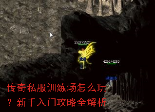 ����˽��ѵ������ô�棿�������Ź���ȫ����