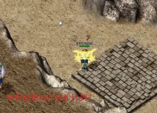 ��γɹ����빥ɳ���У�