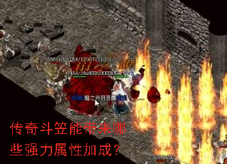 ���涷���ܴ�����Щǿ�����Լӳɣ�