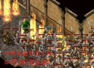 ����ϻ�ְҵ�����δ����������