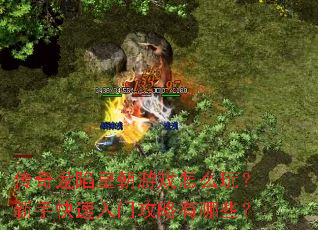 传奇龙陷皇朝游戏怎么玩?新手快速入门攻略有哪些? 传奇龙陷皇朝游戏怎么玩?新手快速入门攻略有哪些?