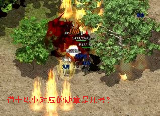 ��ʿְҵ��Ӧ��ѫ���Ǽ��ţ�