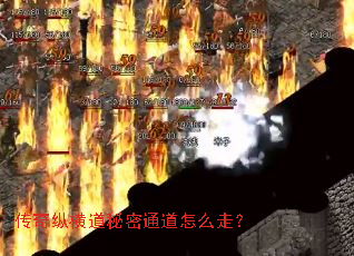 �����ݺ������ͨ����ô�ߣ�