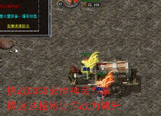 ��սBOSS�ص���װ��������Щ��������ս�����