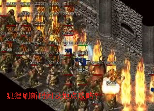 狐狸刷新时间及地点攻略? 狐狸刷新时间及地点攻略?