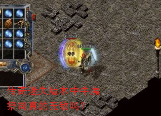 ������ʧ�汾��ţħ��˾����޵���