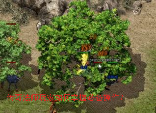 ���淨ʦ���������ձر�������