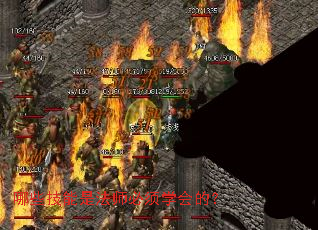 哪些技能是法师必须学会的? 哪些技能是法师必须学会的?